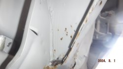 240301 Chevelle (3).JPG